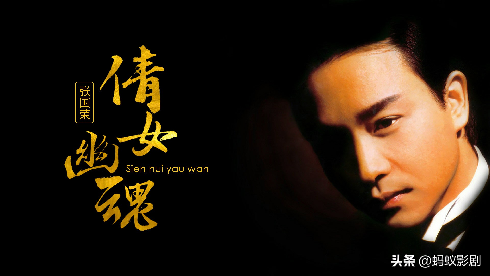 80后最喜欢的明星,80后最爱的男明星