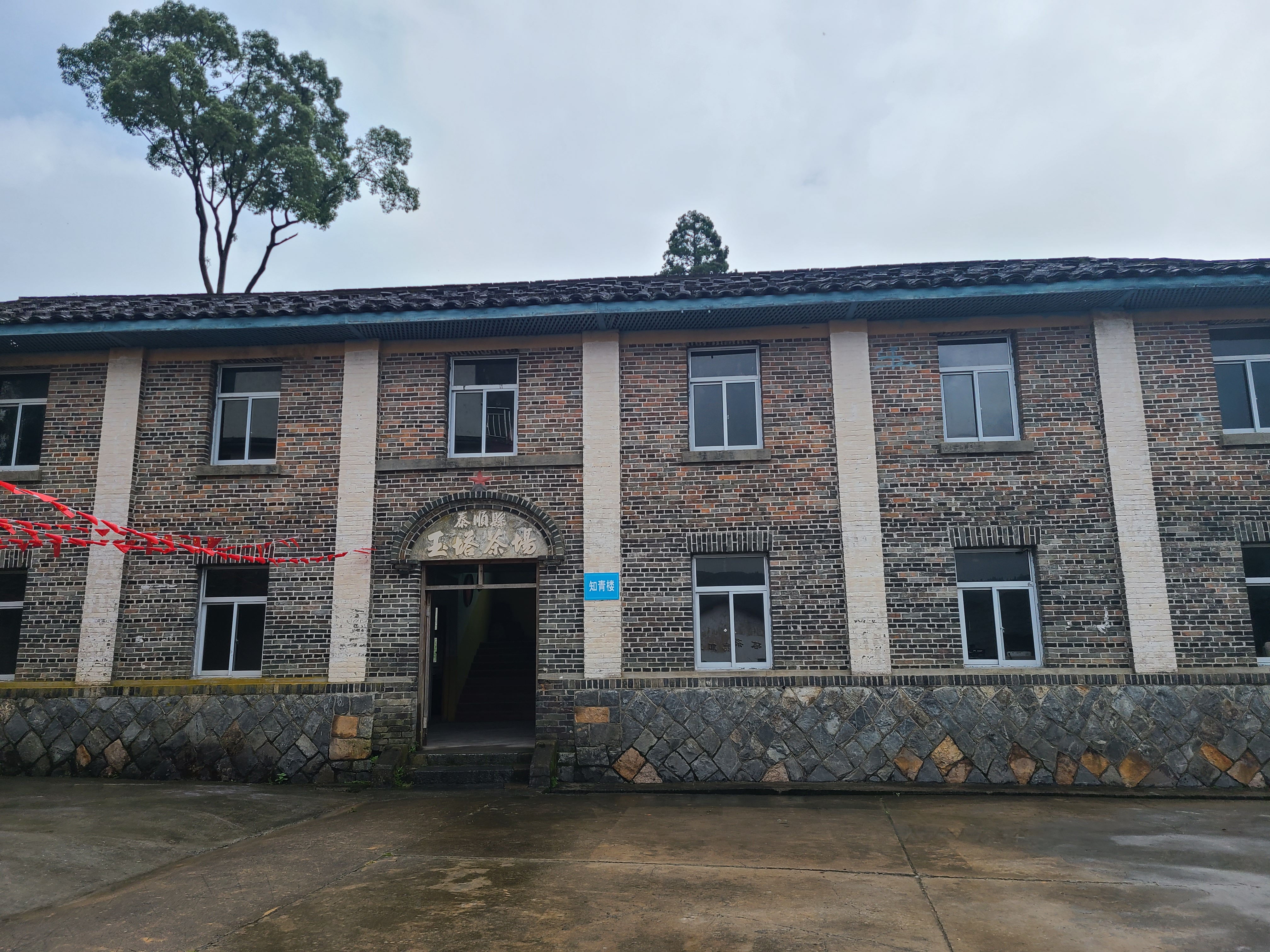 泰顺最出名的茶叶 (泰顺名茶有哪些)