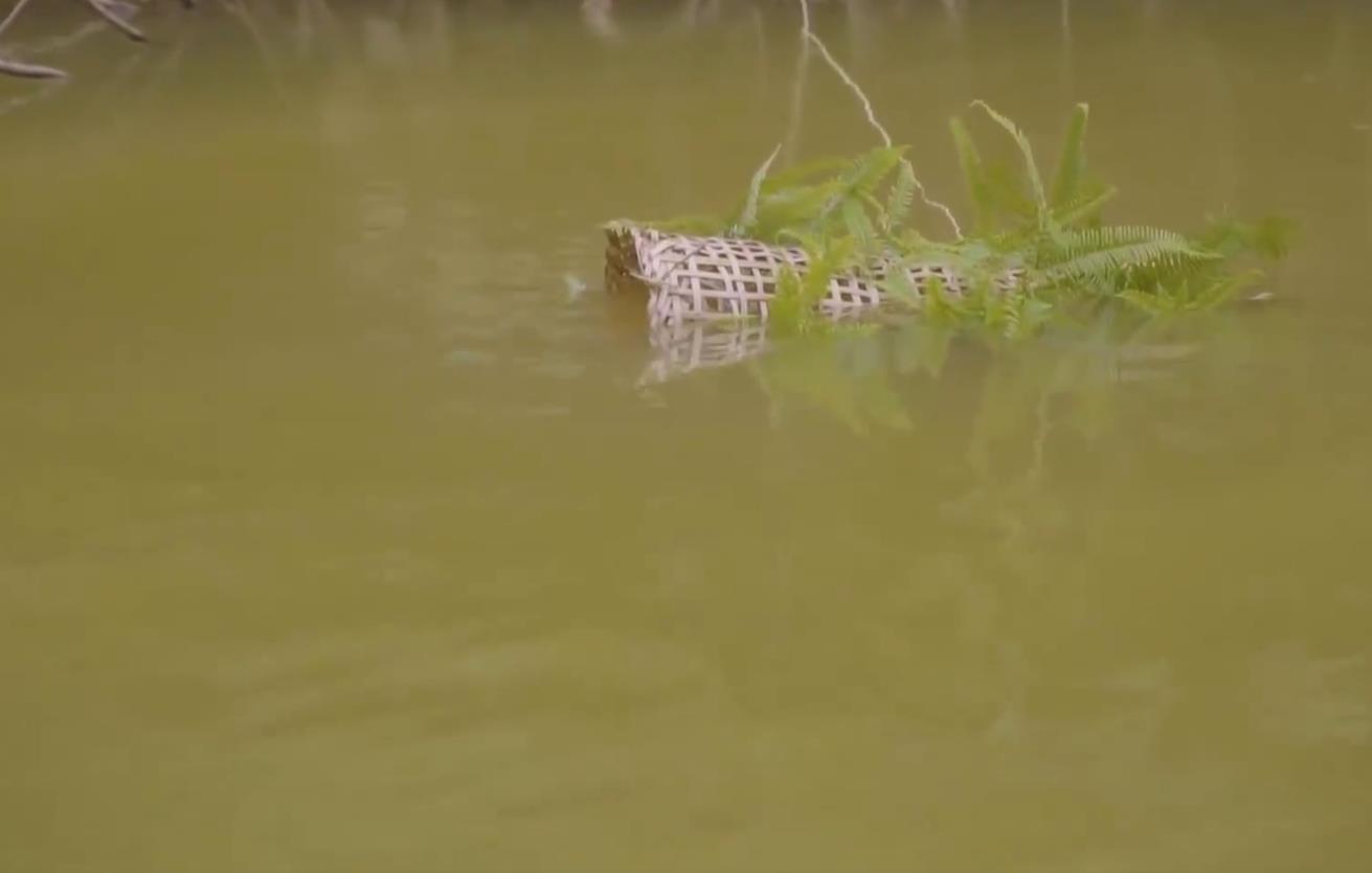 漂亮的野外烤鱼,野外吃美味烤鱼