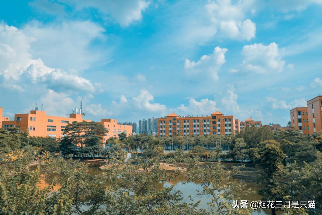 还在为选学校发愁吗,还在为选项目发愁吗