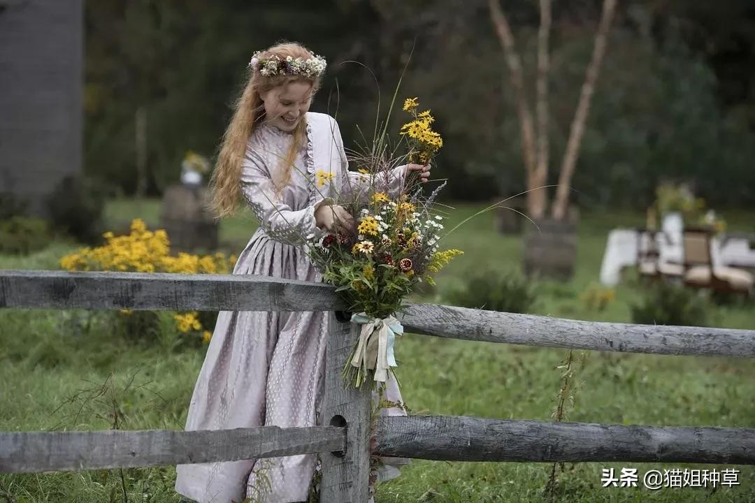 穿出奥斯卡复古名媛感，《小妇人》的设计美学超好用
