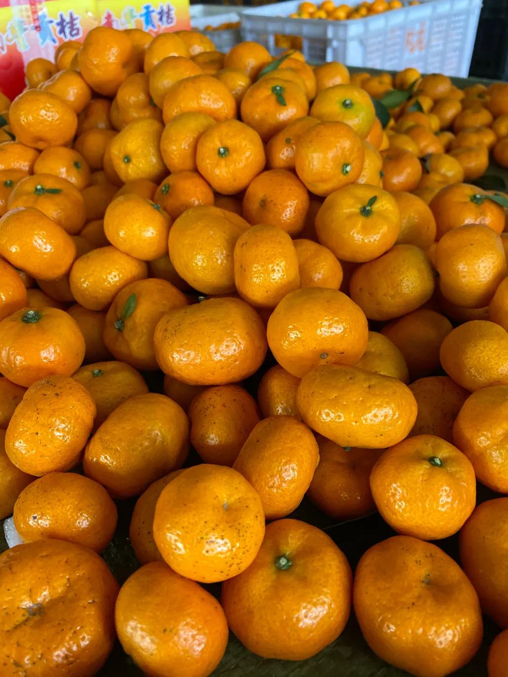 南丰贡桔一斤多少钱,2021年的南丰贡桔大概多少钱一斤