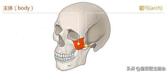 颧骨大小不对称怎么磨骨,如何分辨颧骨是高还是低