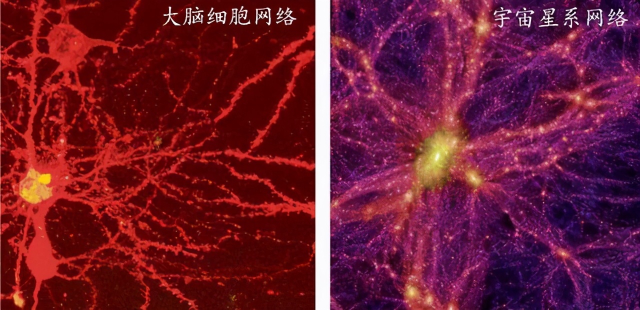 色即是空，空即是色，宇宙真是无中生有的吗？