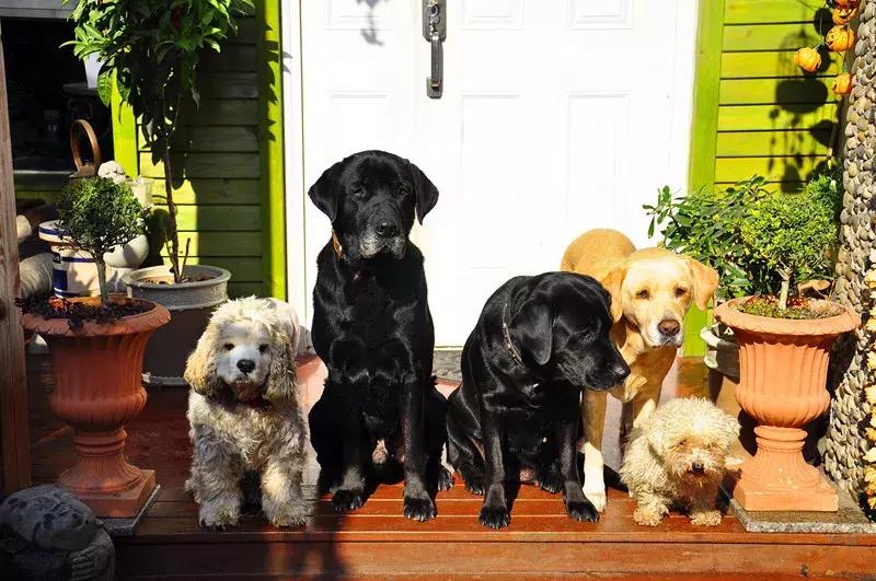 她40岁之前忙成狗，40岁之后在上海买房隐居