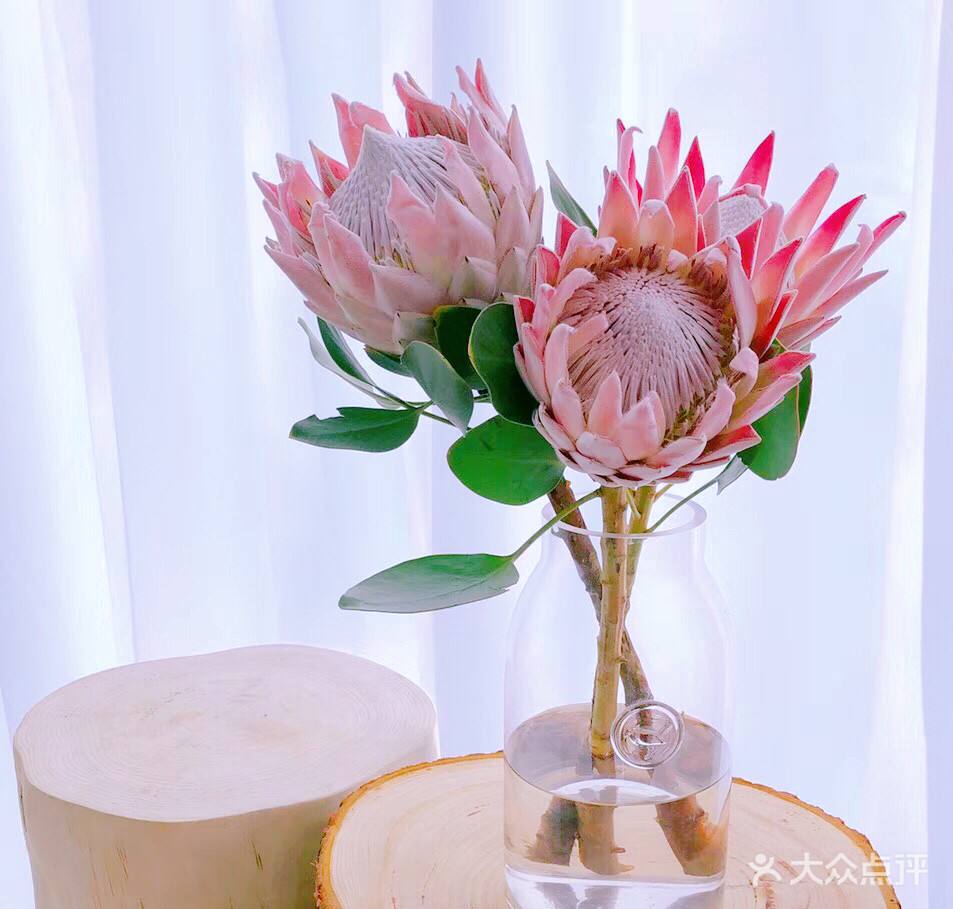 鲜花插花技巧专业术语,插花常见鲜花名称大全