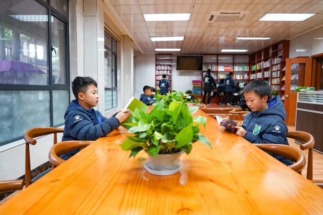 鎭掑ぇ瓒虫牎vs缁垮煄瓒虫牎,鎭掑ぇ瓒虫牎瀵规瘮缁垮煄瓒虫牎