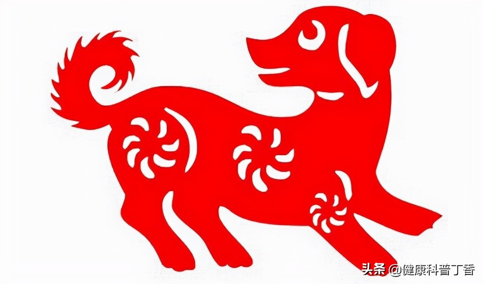 小狗也能旺财是什么原因,狗狗怎么才能旺财