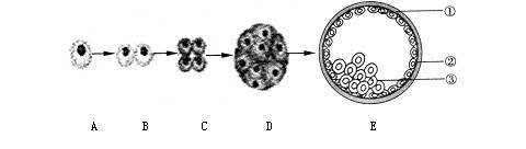 孕育科普二胎孕前需要检查吗,生二胎双胞胎需要具备的家庭条件