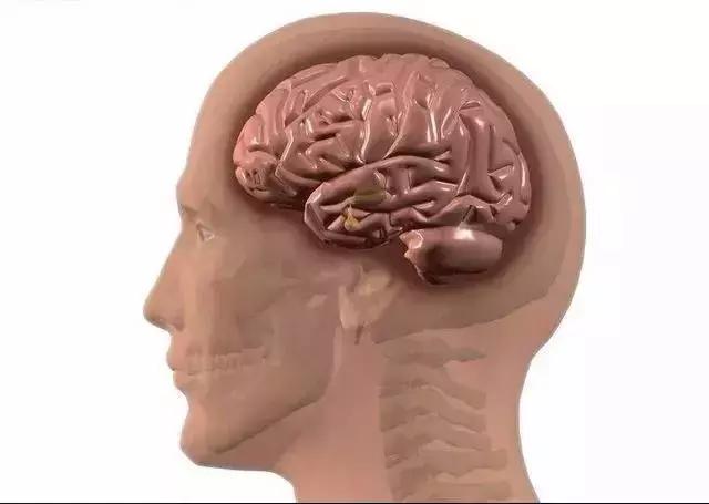 涨知识了是指什么,车牌号最好的5位数