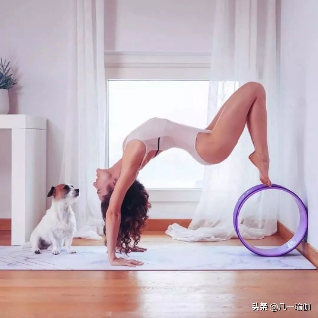 瑜伽器材有哪些是智商税,瑜伽的所有装备大概要多少钱