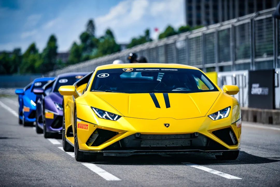 鏄庢槦涓烘姭鑽嗘柀妫樼殑鍝ュ摜鎵揷all,涓烘姭鑽嗘柀妫樼殑鍝ュ摜浠墦call