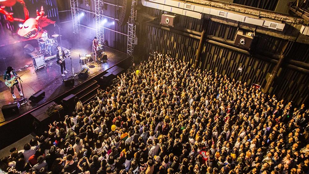 2020年脑洞大开的创业项目,成都脑洞大开