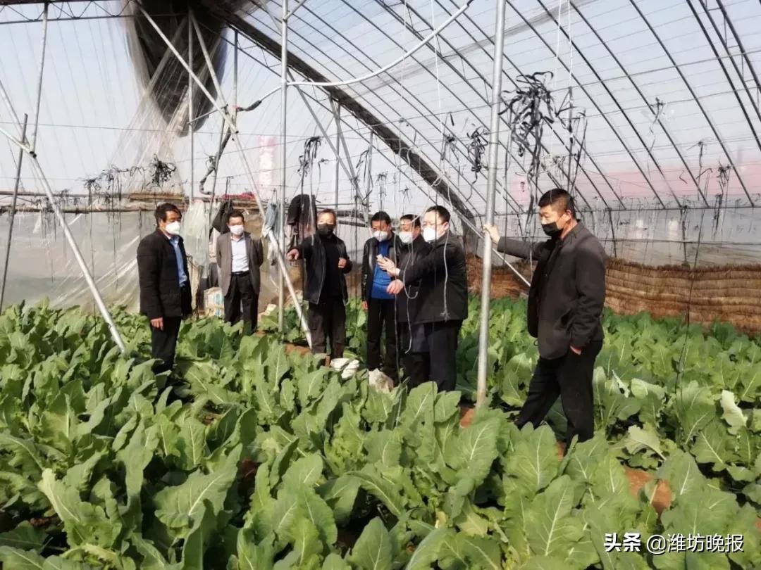 潍坊临朐:服务到地头农户恣心头