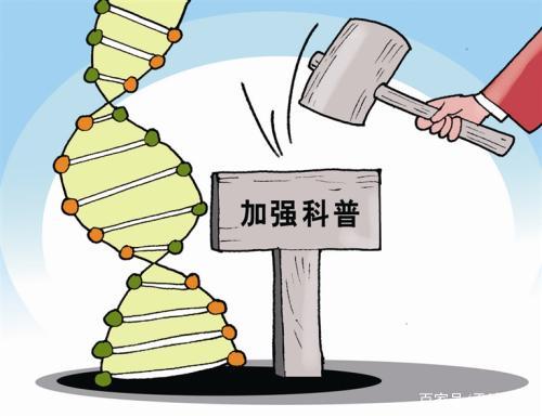 保健食品注册流程及标准,保健食品注册指引