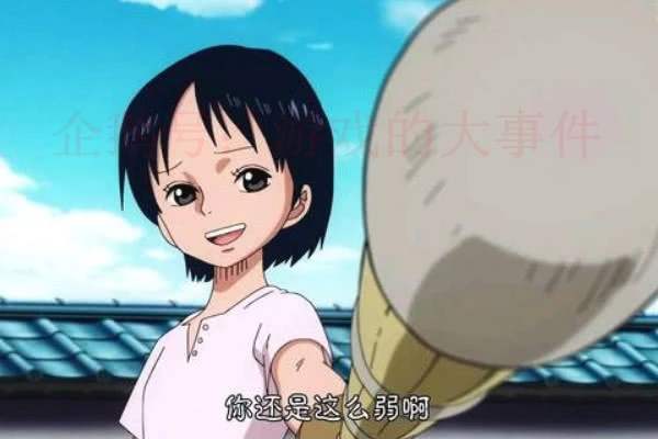 海贼王里十大最漂亮的女性,海贼王女性角色介绍大全