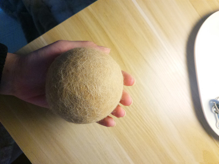 猫咪掉毛太严重满屋子都是猫毛 (猫咪掉毛扎毛毡)