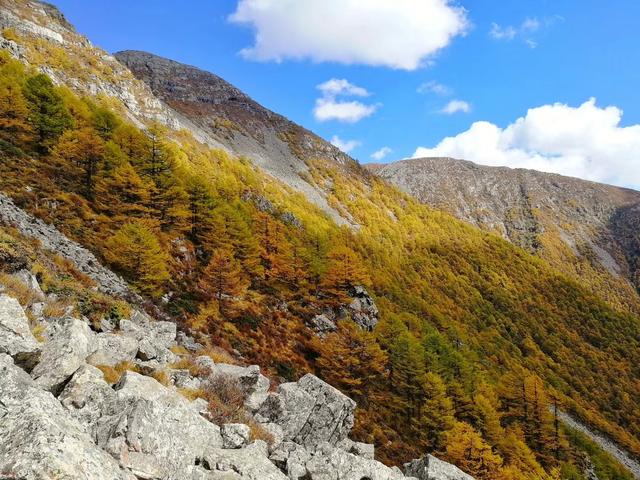 去西安旅游可以不请导游,来西安不爬华山会后悔吗