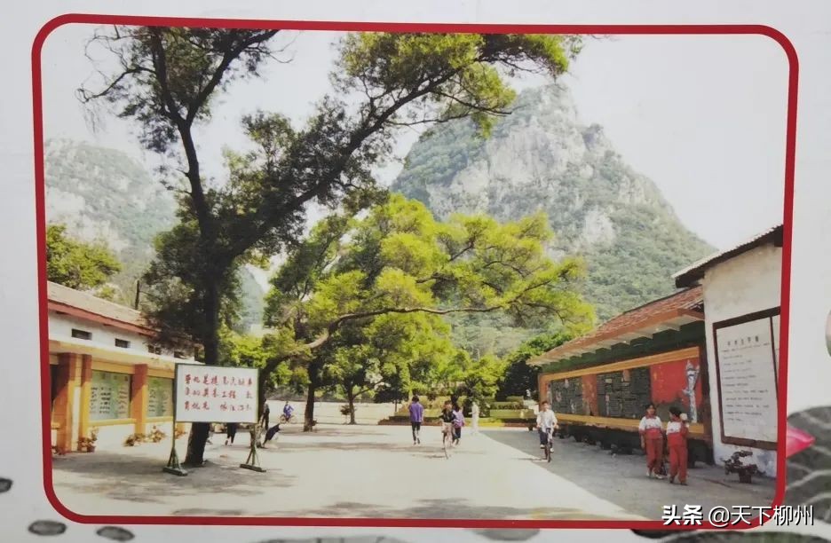 桐油山下同学情一中六载一世恩