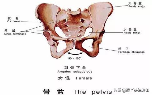如何做好盆腔的产后修复?市场套路太深,别被坑骗啦