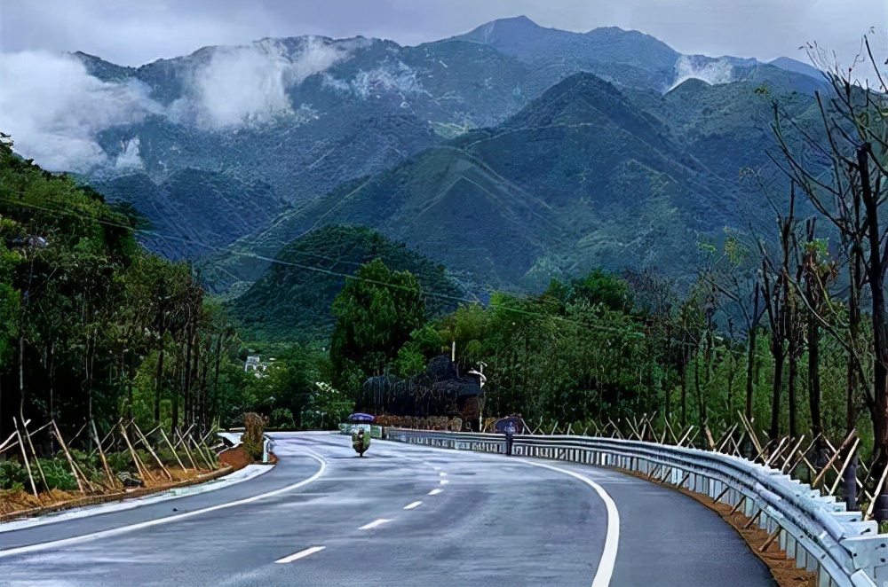 莽山烙铁头毒蛇排行,莽山烙铁头蛇全球排名第几毒