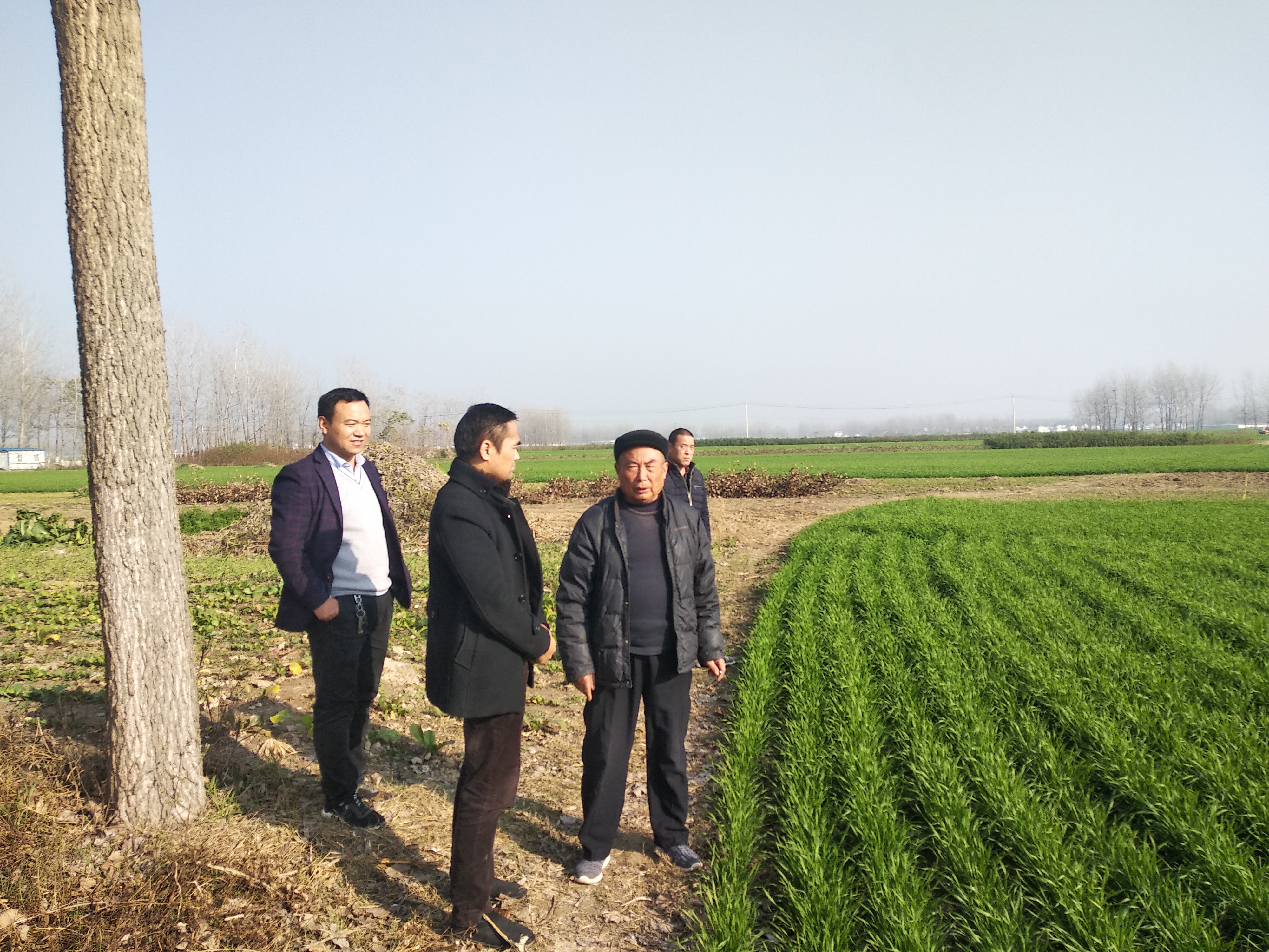 三合风水书籍,三合风水48向全图