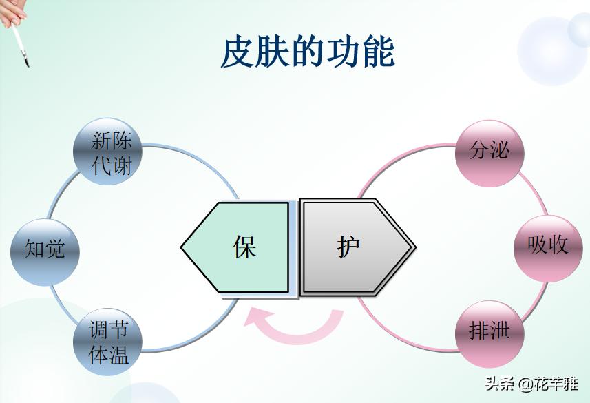 过敏脸痒肿,春敏脸部护肤知识