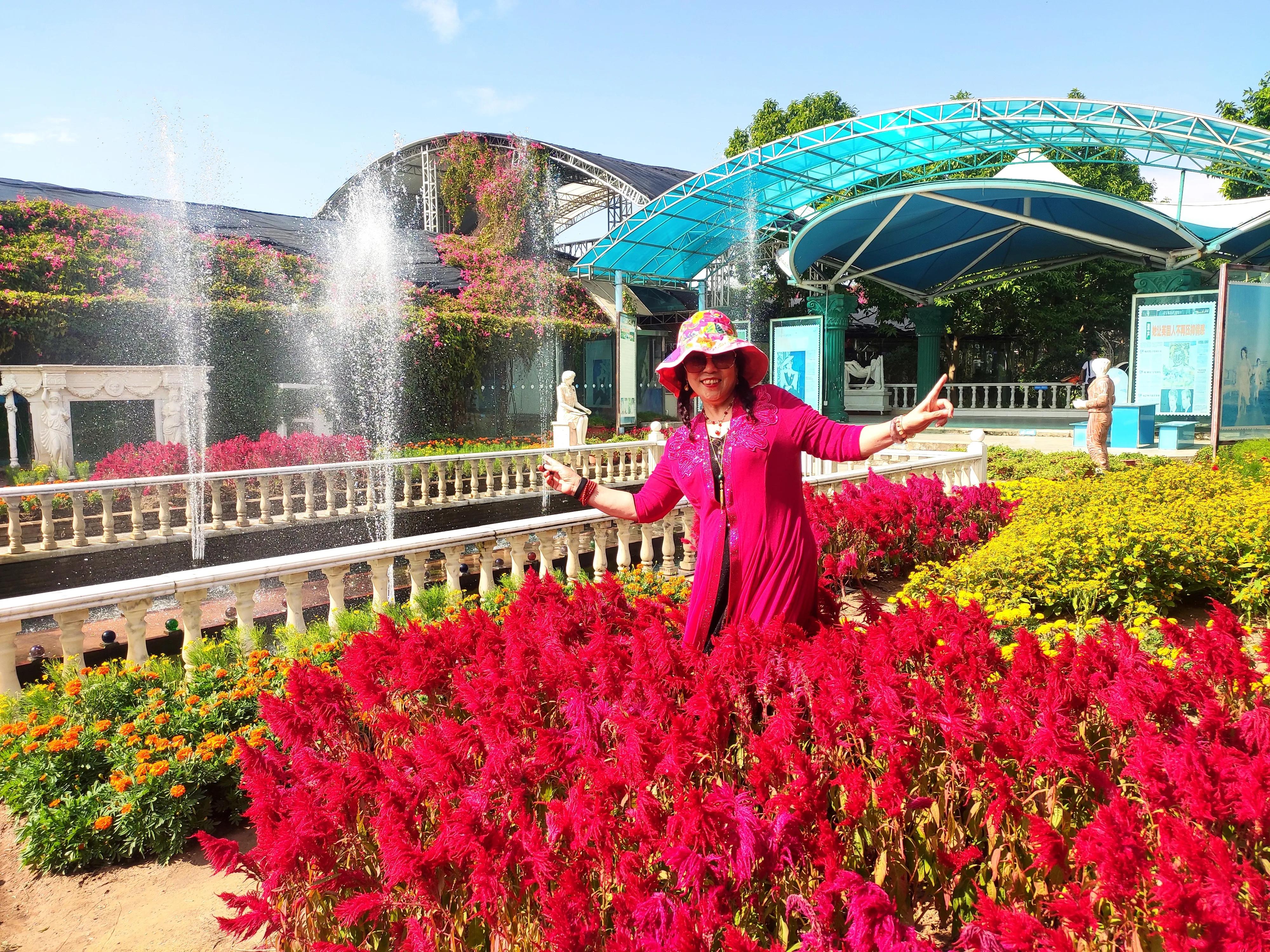 广州番禺百万葵园,广州百万葵园最佳观赏期