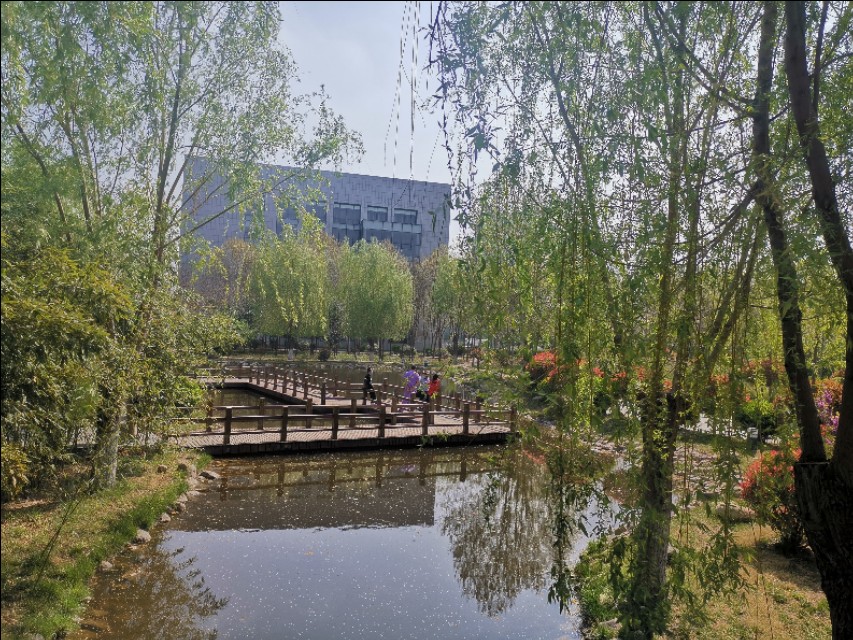 疫情期间隔离日记300字,隔离期间医护人员工作日记