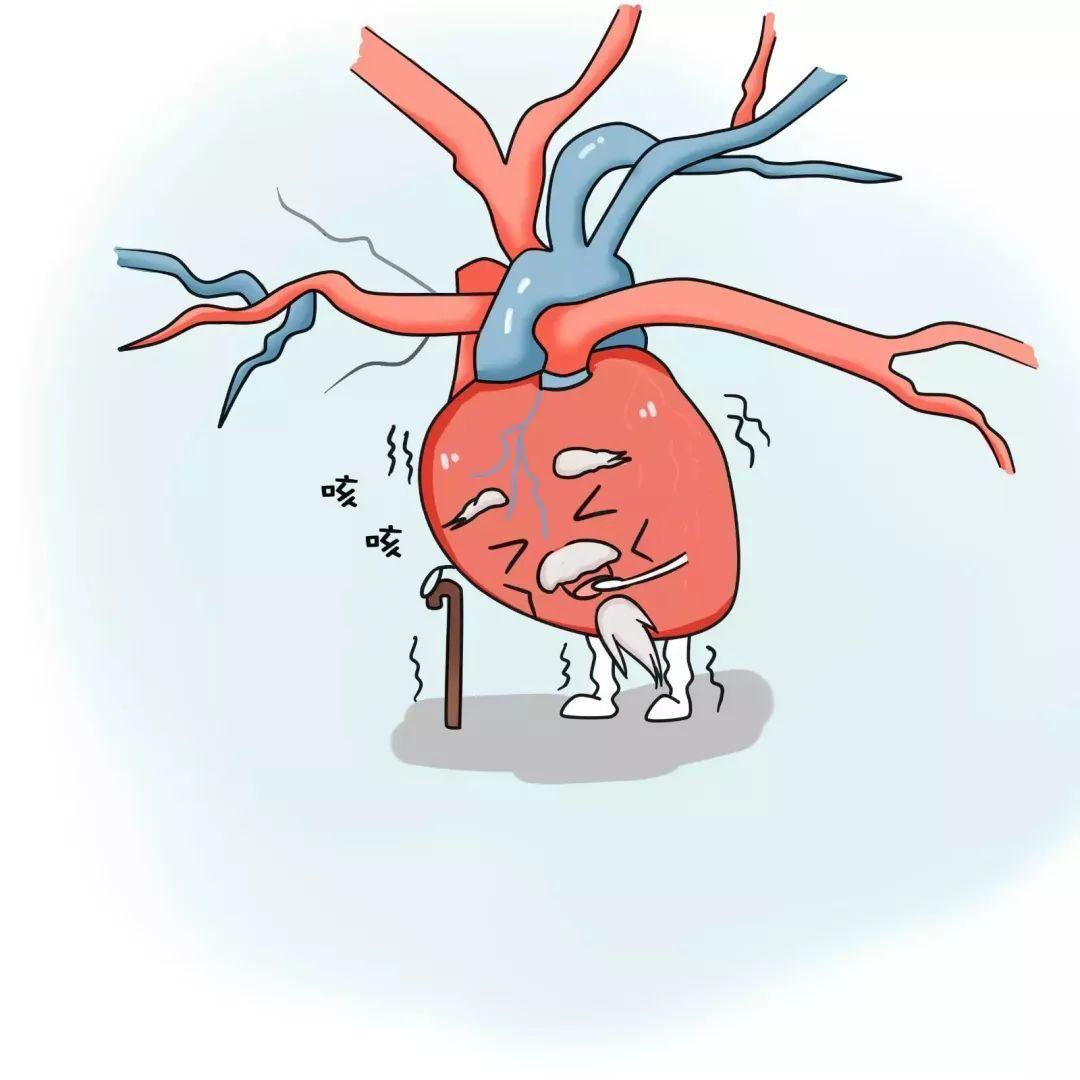 患肥厚型心肌病的患者，可以采取什么治疗方案？生活中注意什么？