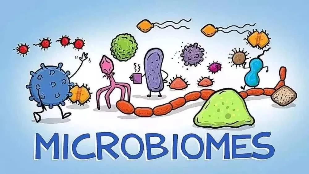 益生菌对糖尿病的好处,益生菌对于糖尿病的效果