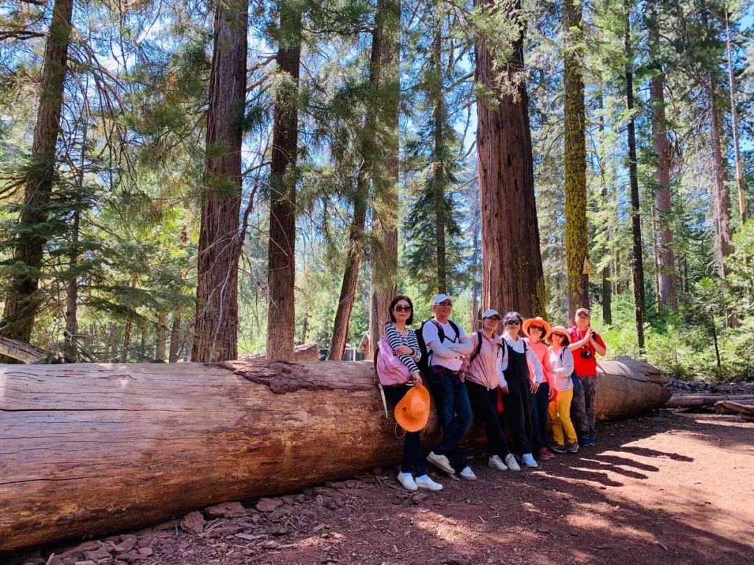 厦门市优山美地,优山美地推荐