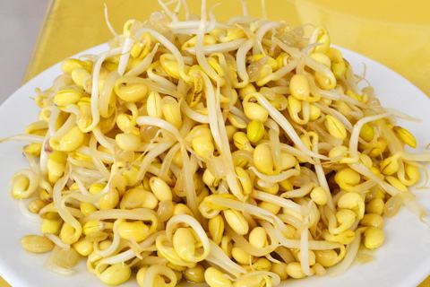 乡情散文田野情怀,春念乡情散文