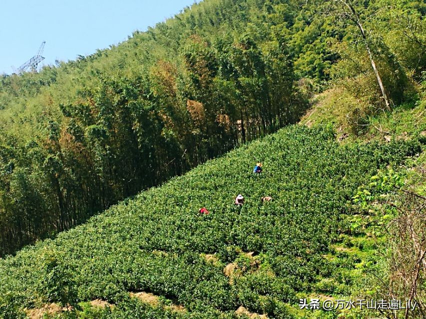 浙江湖州避暑度假村别墅,浙江湖州避暑胜地