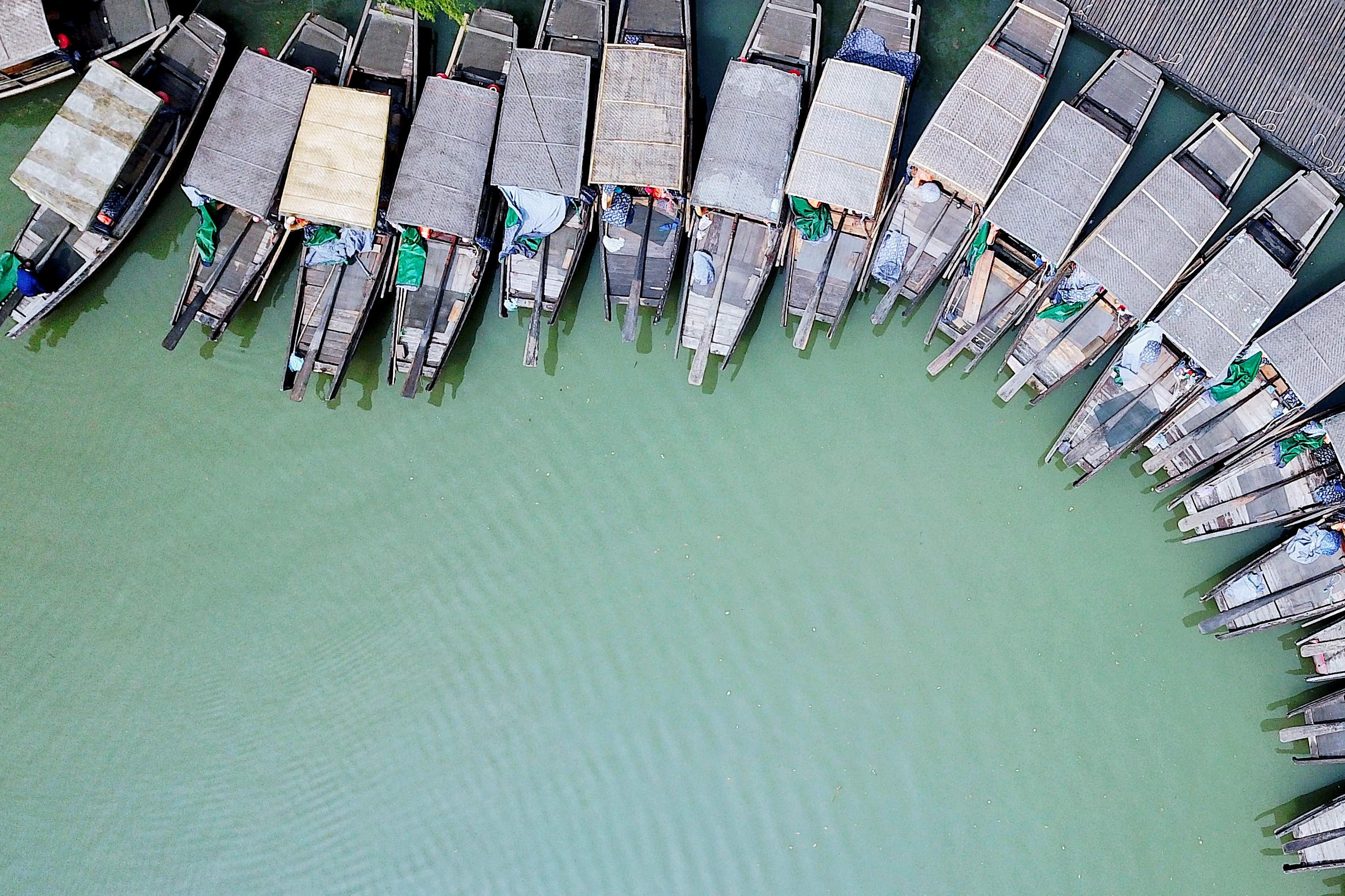 常熟沙家浜风景区游玩攻略简介,常熟沙家浜风景区游玩攻略