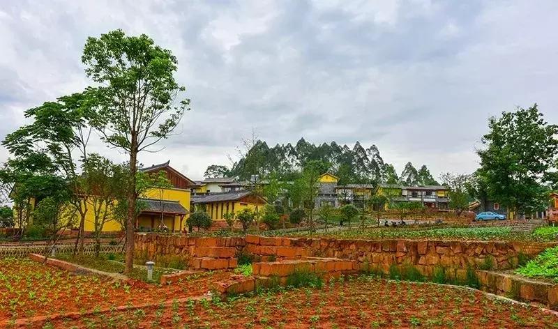 成都双流绿道,双流区绿道建设