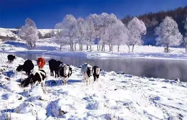 冬天情侣去哪里旅游最适合,适合情侣两三天的短途冬日旅游