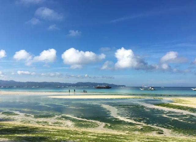 做中菲房产投资“搬运工”成都菲鹰品牌发布会在蓉成功举行