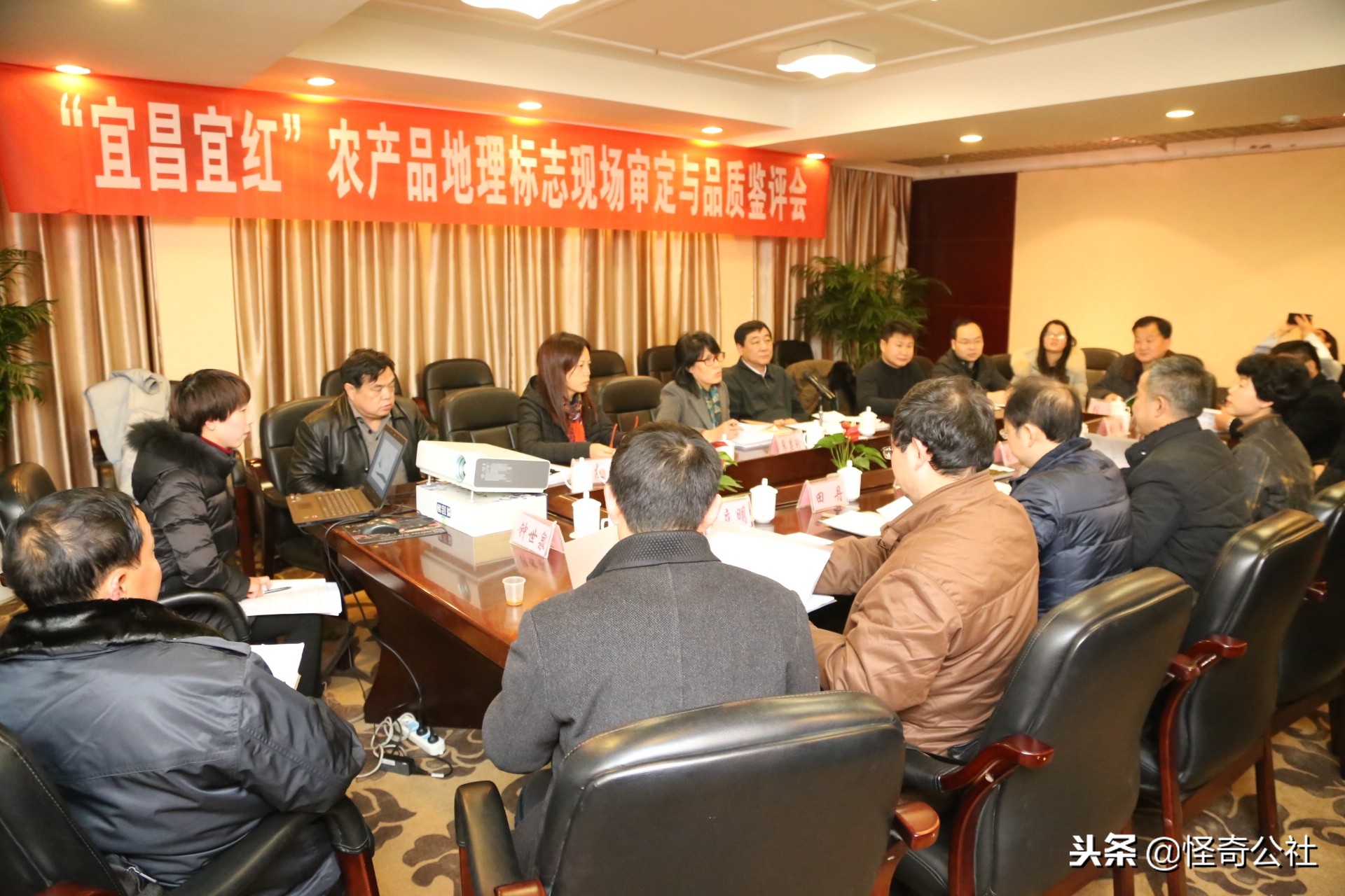 享誉世界的百年品牌——宜昌宜红，“万里茶道”上的新亮点