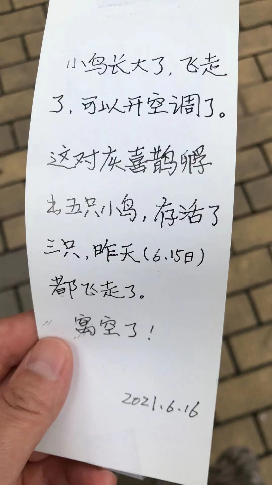 七月的晚霞好美,夏天六月的晚霞