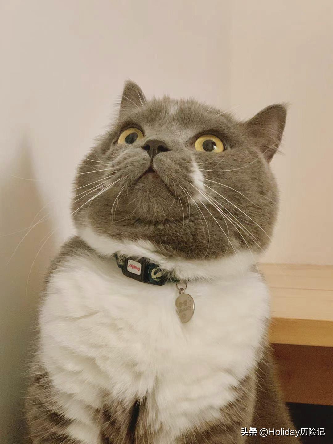 孟母三迁的故事完整版 (现代版的孟母三迁)