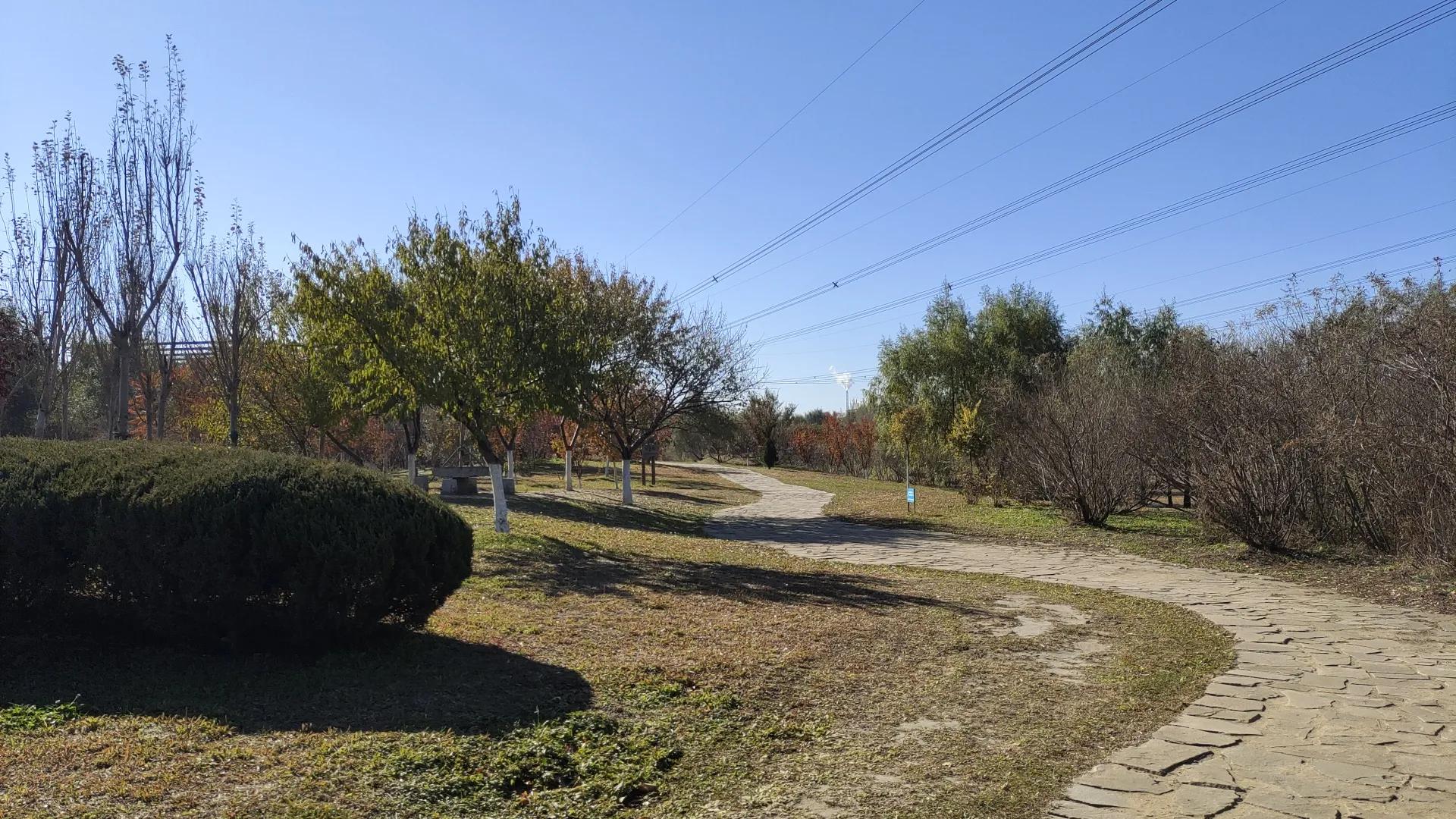 沈阳远大湿地公园,沈阳七星湿地公园