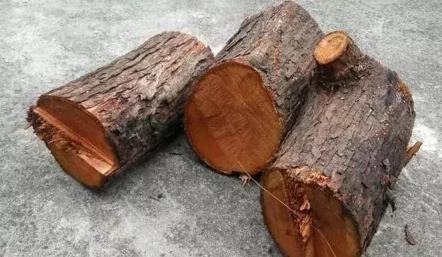 桃木手串最终盘玩效果,桃木手串金丝楠木手串