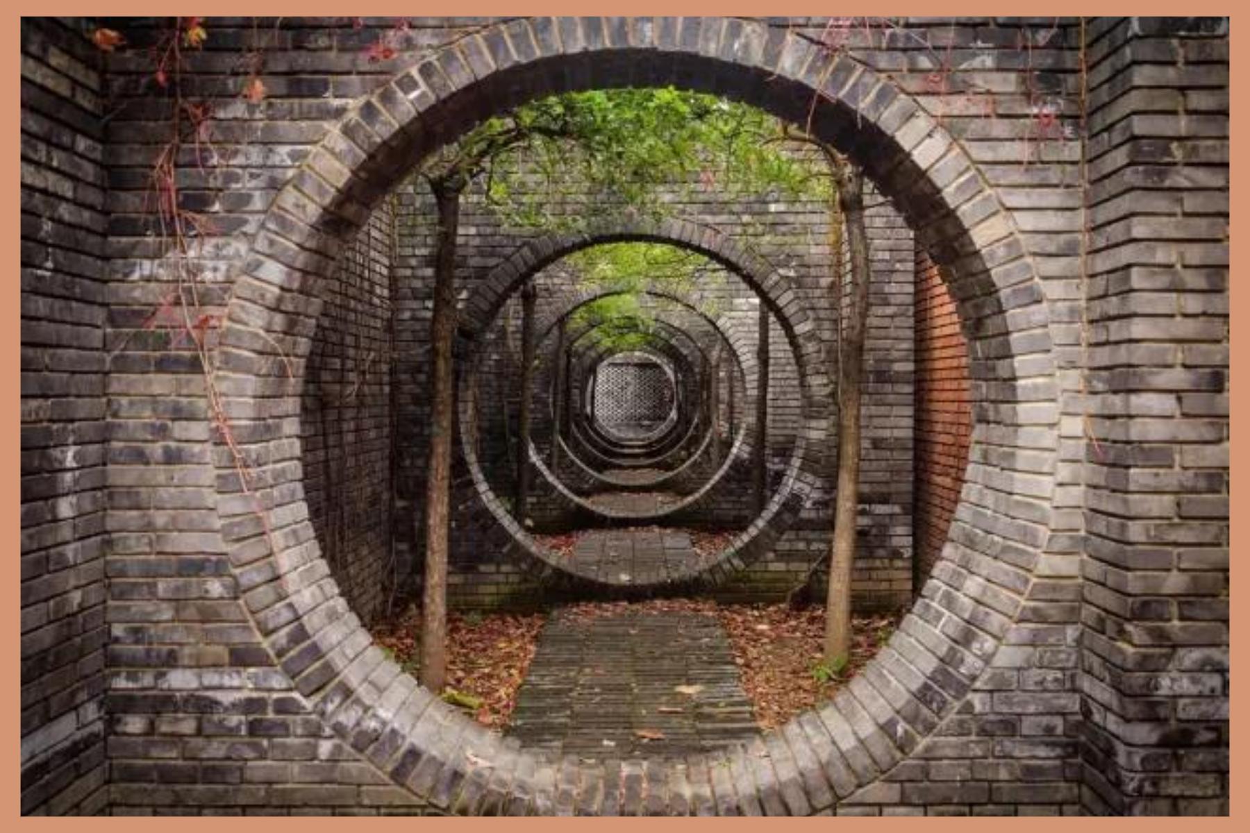 艺术与生活的交融别致居所,住在美术馆里是一种什么体验