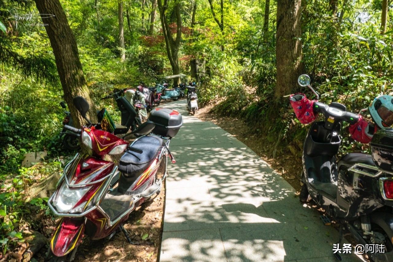 杭州虎跑泉水,杭州虎跑泉旅游攻略