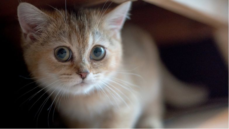 炒股10多年来我的感悟,炒股10年15条投资感悟