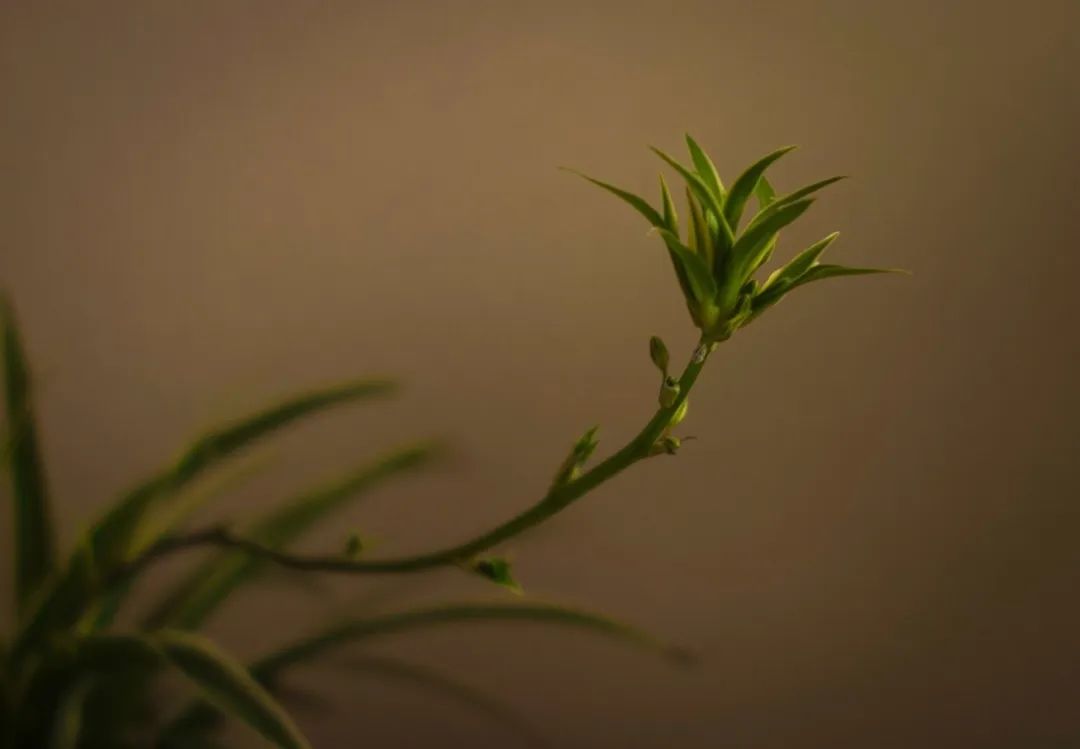 pr品牌管理方法,公关pr是什么