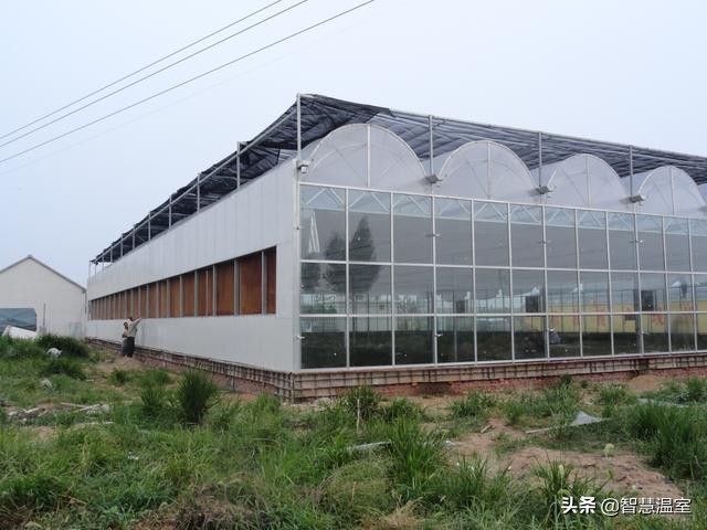 温室大棚覆盖材料有哪些,温室大棚覆盖材料种类都有哪些