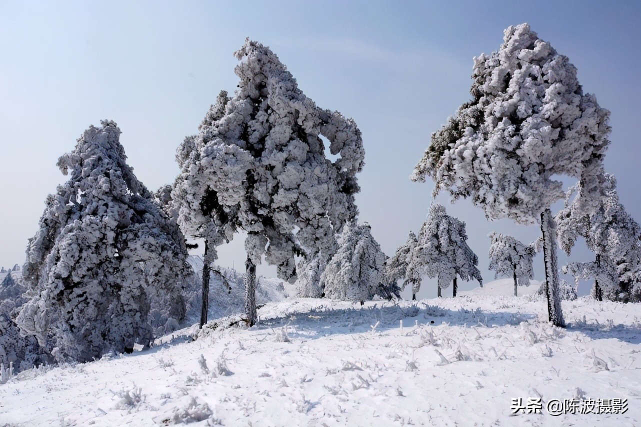 影像｜望作信：情缘“百里荒”13年，100多次拍摄