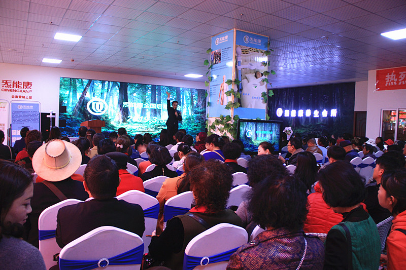 炁能康负离子调养仪的外形,炁能康调养仪v540价格